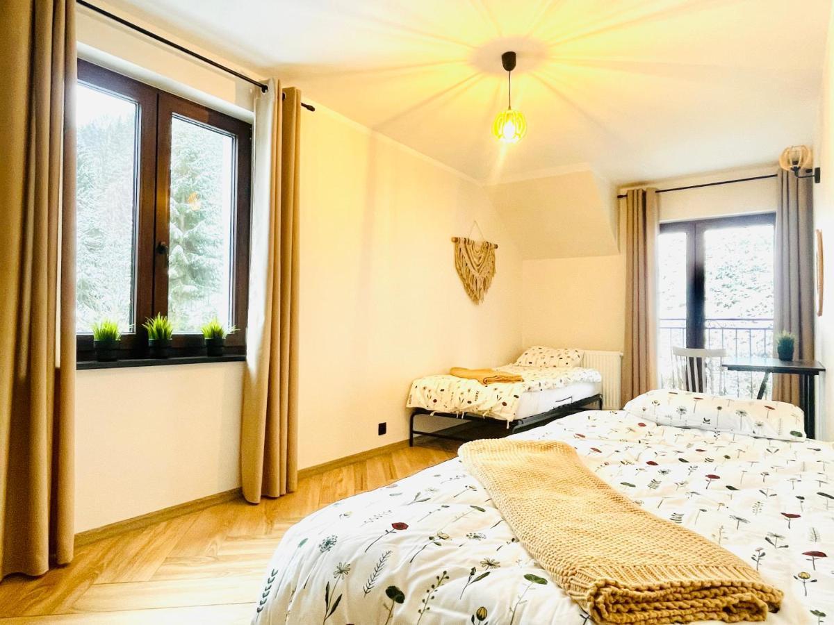Gorska Cisza - Duzy, Komfortowy, Wyjatkowy Apartament Stronie Slaskie Exterior foto