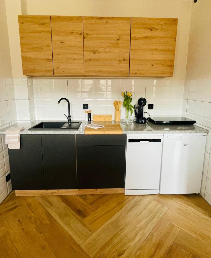 Gorska Cisza - Duzy, Komfortowy, Wyjatkowy Apartament Stronie Slaskie Exterior foto
