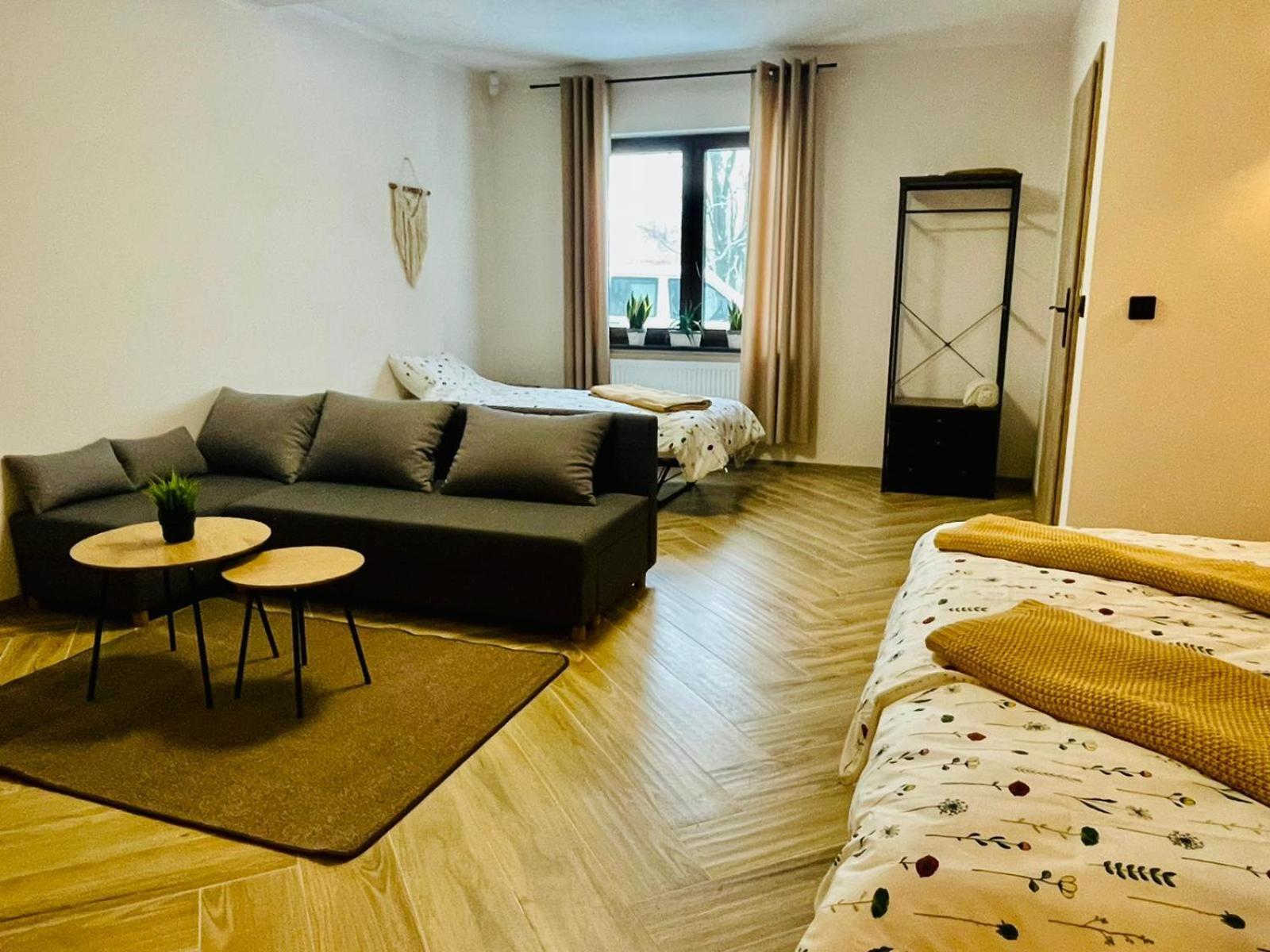 Gorska Cisza - Duzy, Komfortowy, Wyjatkowy Apartament Stronie Slaskie Exterior foto